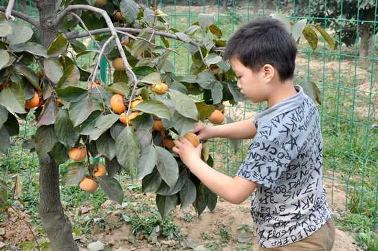 清華憶江南