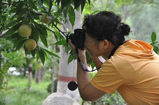 清華憶江南